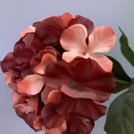 Apartment Toscana 2 Debrecen